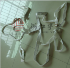 ȫ